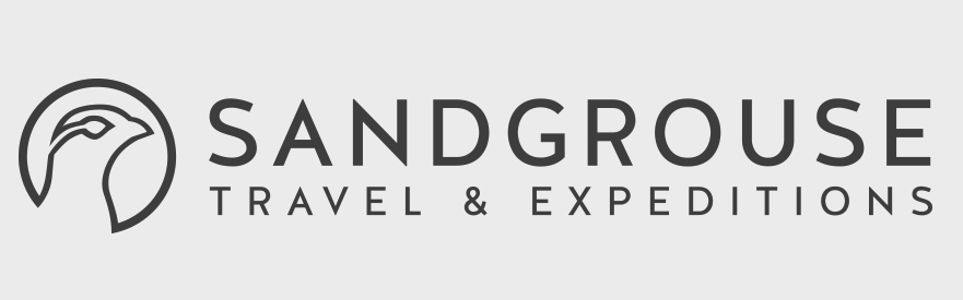 Sandgrouse Travel